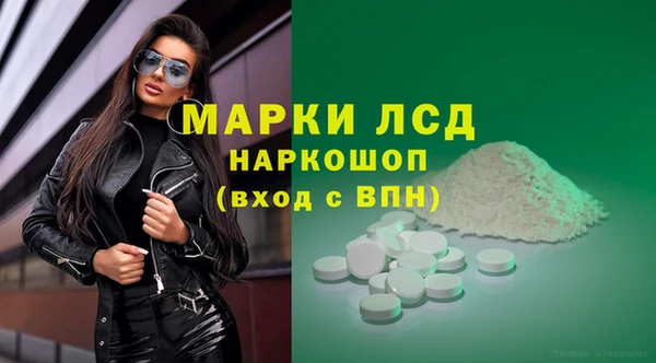 PSILOCYBIN Бородино