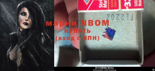 PSILOCYBIN Бородино