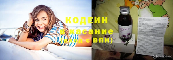PSILOCYBIN Бородино