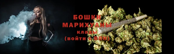 PSILOCYBIN Бородино