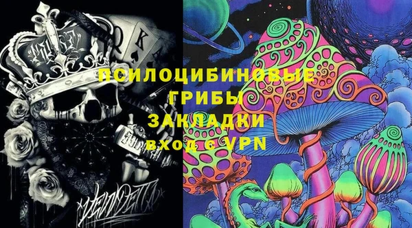 МДПВ Бронницы