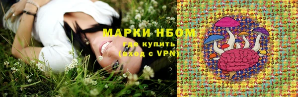 PSILOCYBIN Бородино