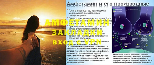 PSILOCYBIN Бородино