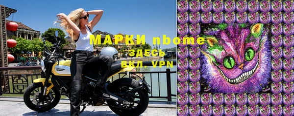 PSILOCYBIN Бородино