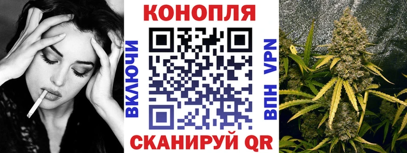 Купить закладки  Макушино  Бошки марихуана план 